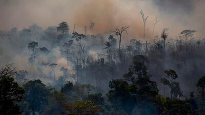The Amazon rainforest is currently in a third week of raging fires. AFP