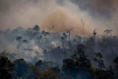The Amazon rainforest is currently in a third week of raging fires. AFP