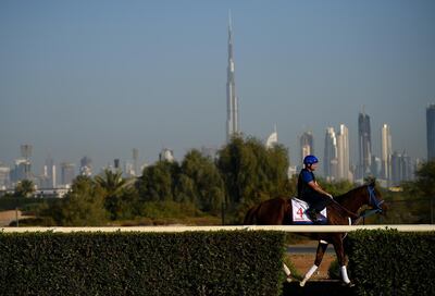 Gunnevera has placed behind race favourite West Coast in his past three starts. Tom Dulat / Getty Images