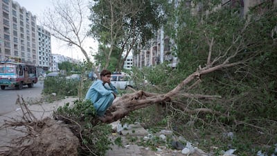A person sits on a fallen tree after a storm in Karachi, Pakistan. EPA