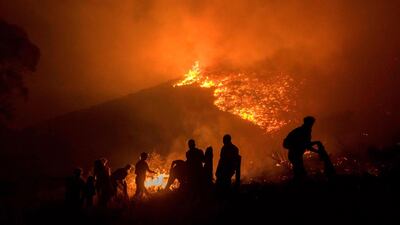 Volunteers and local residents use wet towels to fight one front of a large brush fire that started around the mountains in the city centre on January 27, 2019, in Cape Town. AFP