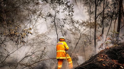 A New South Wales (NSW) Rural Fire Service volunteer douses a fire during back-burning operations in bushland near the town of Kulnura, New South Wales, Australia. Bloomberg