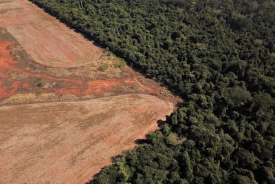 Deforestation in Brazil. Reuters