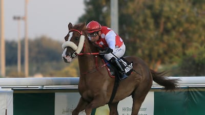 Trainer Ernst Oertel will send Nymphea Du Paon to contest the UAE Arabian Derby at Abu Dhabi Equestrain Club on Sunday night, where Eric Lemartinel's Swwing will be waiting. Ravindranath K / The National