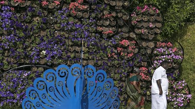 Dubai Miracle Garden has added thousands of butterflies to its attractions. Reem Mohammed / The National