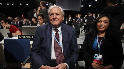 David Attenborough offered a stark warning at the COP24 conference in Katowice. Getty