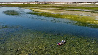 An aerial view of a man rowing a boat in the waters upstream of the Lake Assad reservoir. AFP