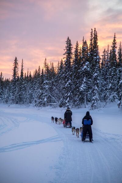 A week-long husky safari takes you to extra-remote parts of Swedish Lapland. Jamie Lafferty