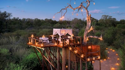 Chalkley Treehouse, South Africa