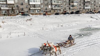 Natalya Saprunova's image of a reindeer sled in snow at the Murmansk Ski Marathon in Russia, which won the 2022 Canon Female Photojournalist Grant. Photo: Natalya Saprunova / Zeppelin