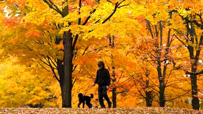 October 2023 was the warmest October on record, with global temperatures reaching a new high. AP