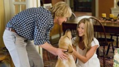 In Marly & Me, Owen Wilson and Jennifer Aniston play a young married couple who bring home a mischievous Labrador retriever puppy.