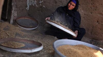 A Palestinian refugee sifts wheat for making bread, in her house in Gezirat al-Fadel village, a refugee camp, about 150 kilometers east of Cairo, Egypt.