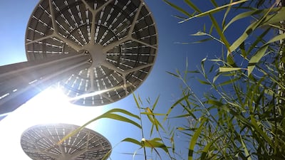 Terra – the Sustainability Pavilion has 18 Energy Trees.