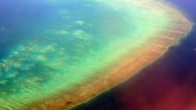 Aerial of a portion of the Great Barrier Reef off the coast of Cairns, Queensland, Australia. Getty Images