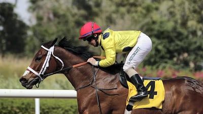 Just a Penny ridden by Sam Hitchcott wins the Shadwell Farm race at Jebel Ali. Chris Whiteoak / The National