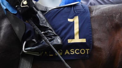 A detail view of Blue Point ridden by James Doyle as they win the 4.20 Diamond Jubilee Stakes. Reuters