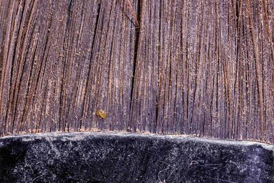 A close-up look at a foundation brush shows how make-up, dead skin cells and oils build up. Photo: Matthew Doogue