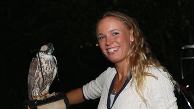 Caroline Wozniacki holds a falcon at the players party. Julian Finney/Getty Images