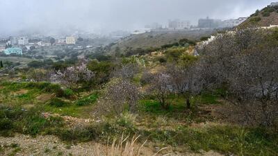 Fog blankets a mountainous area in Saudi Arabia's Al Baha governorate. SPA