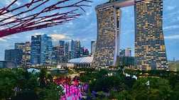 Singapore combines a modern skyline with green spaces and family-friendly activities. Photo: David Kubovsky / Unsplash