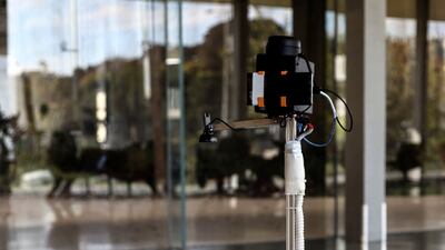 Six goldfish each received about 10 driving lessons in the study.