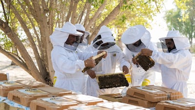 Al Najeh Honey breeds its own saskatraz bees and supplies them to other countries in the Mena region. Chris Whiteoak / The National