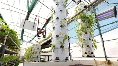 An aquaponic unit uses fish waste to fertilise plants.