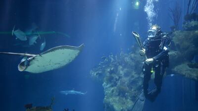 Sebastian Prajsnar holds the baton during a visit to The Deep, in Hull. Getty Images
