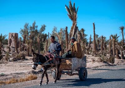 Farmers ride a donkey-cart past dead palm trees in Morocco's oasis of Skoura, a rural area of 40 kms where the ground is dry and cracked. For centuries, Morocco's oases have been home to settlements and agriculture and been a buffer against desertification. AFP