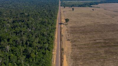 A motorway stretches between the Tapajos National Forest, left, part of the Amazon, and a field in Belterra, Para state. AP