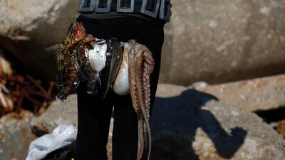 A Palestinian trader shows off the fish he caught after diving in the sea at Gaza port, in Gaza City. AP