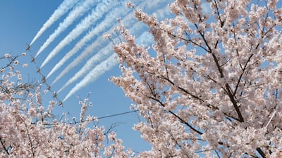 the Black Eagles, the South Korean Air Force's aerobatic team, performs over Yeouido Park during the Spring Cherry Blossom Festival in Seoul. EPA