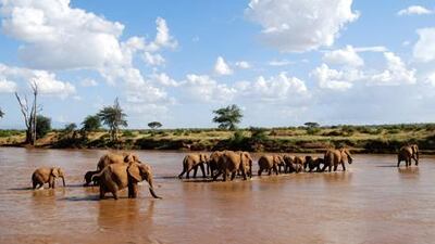 The report was commissioned by Mokgweetsi Masisi. Susan Hack for The National