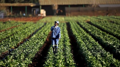 Africa holds about half of the world’s fertile unused land – yet spends $25 billion annually on food imports. Siphiwe Sibeko / Reuters