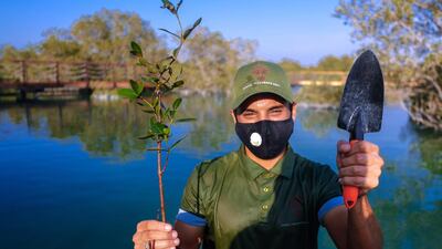 The UAE boasts 4,000 hectares of mangrove forests, the largest in the Arabian Gulf region. Victor Besa / The National
