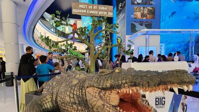 The entrance of Dubai Aquarium and Underwater Zoo at The Dubai Mall, photographed with the Samsung Galaxy Z Fold4.