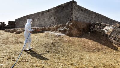 The disease has a high death rate of between 10 and 40 per cent of all cases.