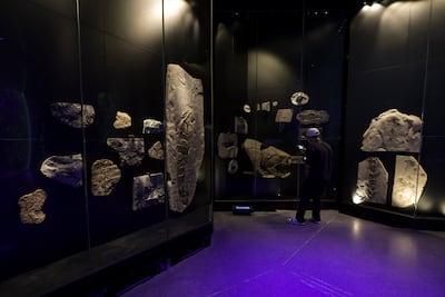 Fossils give insights into life before The Great Dying. Victor Besa / The National