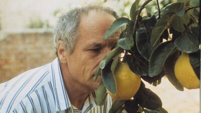 Watch the Spanish film El Sol del Membrillo (The Quince Tree Sun) with English subtitles at Cinema Akil. Courtesy Trigon-Film