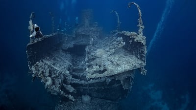 The photography competition included three categories, Underwater Photography, Nature Along the Coast Photography and Urban Environment Photography. Pictured: A photograph from Abusunun's portfolio of underwater images taken at the Red Sea