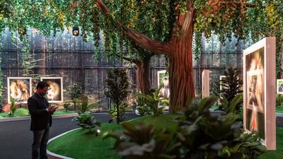 A visitor at the exhibition of Mogens Trolle, whose series on primates highlights their threatened status.