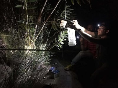 Dr Jeremy Camp with the mosquito traps that were used to collect the insects at Wadi Wurayah National Park. Photo by Sami Ullah Majeed