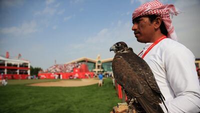 A falcon at the trophy presentation on Sunday. Matthew Lewis / Getty Images