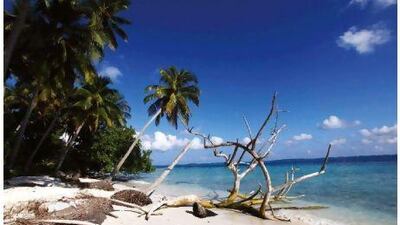 China has become the biggest market for tourists to the Maldives. Reuters