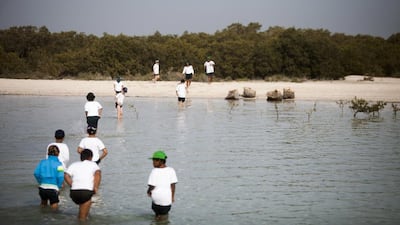 Students go on shore to learn more about the Abu Dhabi mangroves. Lee Hoagland / The National
