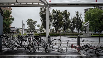 Bicycles blown over by the storm. AFP
