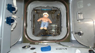 Smokey Bear floats on board ISS on May 15, 2012. Smokey travelled aboard the Soyuz spacecraft with Nasa astronaut Joe Acaba and Russian cosmonauts Gennady Padalka and Sergei Revin. The mascot is a recognised symbol for wildland fire prevention