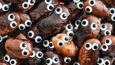 Ichio Usui, Japan, Shortlist, Professional competition, Still Life, Sony World Photography Awards.