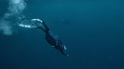 The ocean temperature is about 3°C while the air temperature is -4°C at this time of year